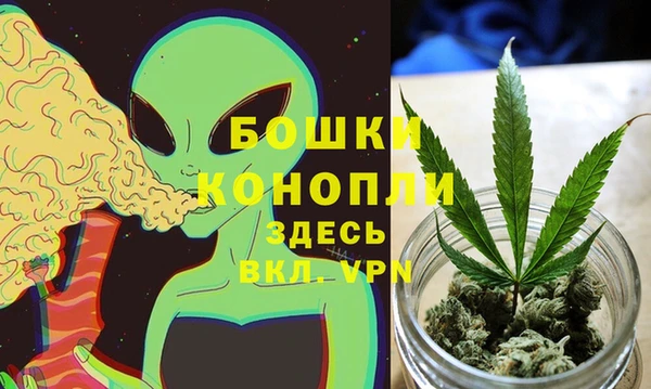 стафф Богданович